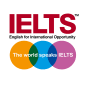 test-of-english-as-a-foreign-language-toefl-international-english-language-testing-system-writing-examination-ielts-book-1e4ebaed51f0ae8714f5cb68574ac513